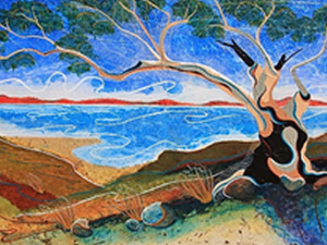 Photo of Carol Gill Graphics Photo of Carol Gill Graphics