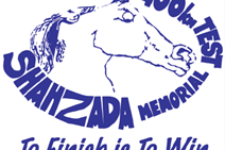 Photo of Shahzada 400km Endurance Memorial Horse Race Photo of Shahzada 400km Endurance Memorial Horse Race