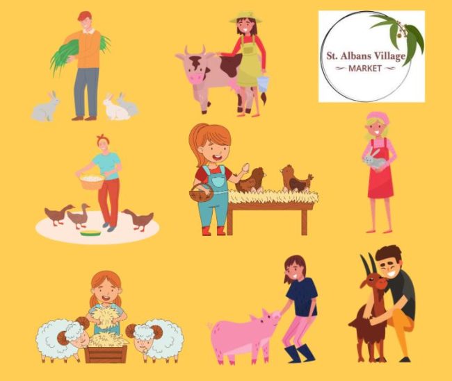 Petting Zoo sans text