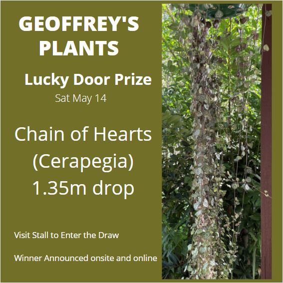 Geoffrey’s Plants – Prize