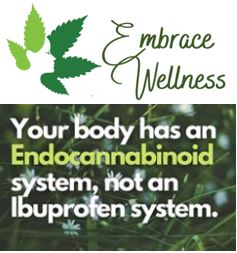 Embrace Wellness 2